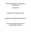 Estructura socio-económica de México.