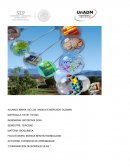 Bioquimica-“COMPARACION DE BIOMOLECULAS “