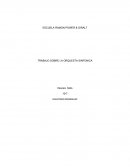 TRABAJO SOBRE LA ORQUESTA SINFONICA