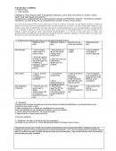 Plan de vida y carrera . Visión personal