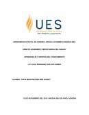 Ingles ENSAYO ACADEMICO ‘IMPORTANCIA DEL INGLES’