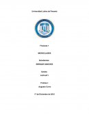 UN EJEMPLO DE REINGENIERIA DE PROCESOS: MACDONALD`S