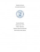 Caso Boeing vs Airbus