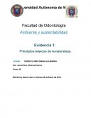 Ambiente y sustentabilidad.