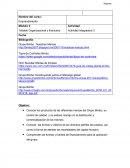 Modelo Organizacional y financiero Actividad: Actividad integradora 3