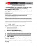 TERMINOS DE REFERENCIA PARA LA CONTRATACIÓN DE UN ASISTENTE TÉCNICO