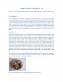 PRESION DE IMBIBICION