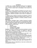 LA CELULA es la unidad metabólica y fisiológica