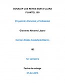 Plan de vida,mision personal