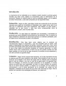 Historia de las cosas de annie leonard