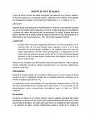 BOGOTÁ SE VISTIÓ DE BLANCO