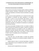 La importancia de las normas internacionales de contabilidad (NIC) y de las normas internacionales de información financiera (NIIF)