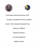 Reseña de la Monja Sangrienta