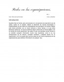 Redes en las organizaciones