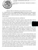 ACTA CONSTTUTIVA DE SOCIEDAD ANONIMA