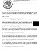 Acta constitutiva: Consamp, S.A. de C.V