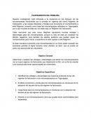 Planteamiento de problema: la incidencia en los ingresos de las microempresas hondureñas