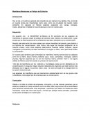 Mamiferos Mexicanos en peligro de extincion.