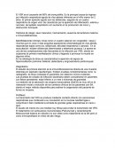 El VSR es el causante del 80% de bronquiolitis.