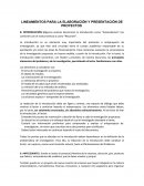 Lineamientos para la elaboracion de proyectos.