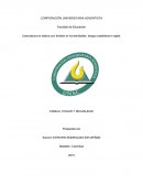 RESUMEN DEL HABITO N° 6 “LA SINERGIA”