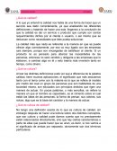 Cultura de calidad. Cultura.