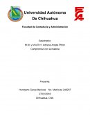 Tarea 3 Compromiso con la materia