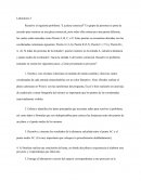 Proyecto modular matematicas.