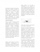 ¿Qué es un NSN? Un número de acción nacional (NSN) es simplemente la etiqueta oficial aplicada