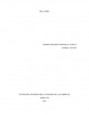 FUNDACIÓN UNIVERSITARIA AUTÓNOMA DE LAS AMÉRICAS