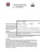 DESCRIPCION DE ACTIVIDADES REALIZADAS: Justificación del Servicio Social