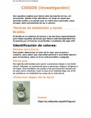 Texto Argumentativo.