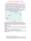 CUESTIONARIO DE MICROBIOLOGIA AMBIENTAL