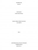 Sistemas HSE - Resumen.