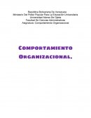 El comportamiento organizacional. Modelo colegial