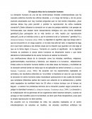 Ensayo: El impacto ético de la clonación humana