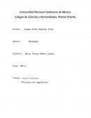 Unidad 2. Cuestionarios: *Procesos de regulación.