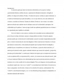 La anorexia igual que todos los trastornos alimentarios en los que las víctimas experimentan drásticos cambios de peso
