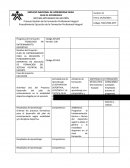 PLAN DE ENTRENAMIENTO PARA LA INICIACION Y FUNDAMENTACIÓN DEPORTIVA