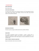 Técnicas de anestesiología - Odontología