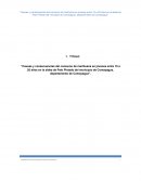 Causas y consecuencias del consumo de marihuana en jóvenes entre 15 a 20 años