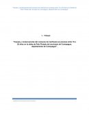 “Causas y consecuencias del consumo de marihuana en jóvenes entre 15 a 20 años en la aldea de Palo Pintado del municipio de Comayagua, departamento de Comayagua”