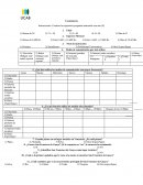 Cuestionario Instrucciones: Conteste las siguientes preguntas marcando con una (X)