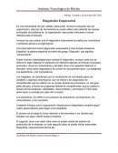 Ensayo: Diagnostico empresarial