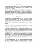 La biodiversidad. Ensayo