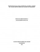 Prevencion Del Mal Uso De La Internet