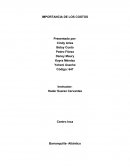 IMPORTANCIA DE LOS COSTOS.