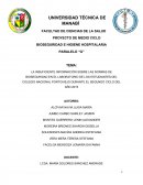 LA INSUFICIENTE INFORMACIÓN SOBRE LAS NORMAS DE BIOSEGURIDAD EN EL LABORATORIO DE LOS ESTUDIANTES DEL COLEGIO NACIONAL PORTOVIEJO DURANTE EL SEGUNDO CICLO DEL AÑO 2015