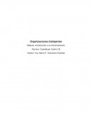Introducción a la Administración: Organizaciones Inteligentes