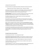 Organización Perceptiva del Niño